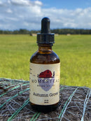 Autumn Grove Beard Oil